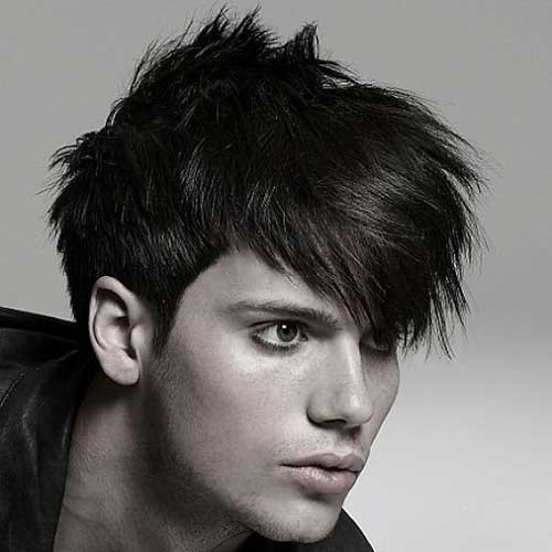 Punk Hairstyle Male
 20 Best Punk Haircuts for Guys