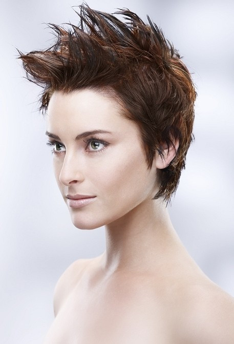 Best ideas about Punk Short Hairstyle
. Save or Pin Punk Hairstyles for Women Stylish Punk Hair s Now.