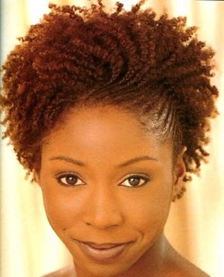 Quick Braided Hairstyles For Black Hair
 Short braided hairstyles for black women