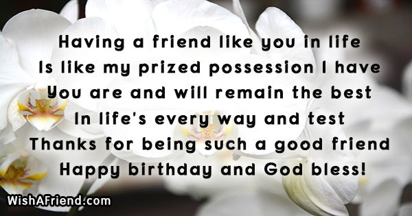 Quotes For Best Friend Birthday
 Best Friend Birthday Quotes