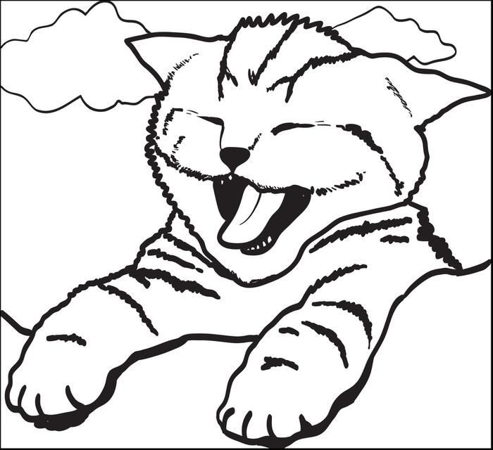 Real Kitten Coloring Sheets For Girls
 cute cat coloring pages