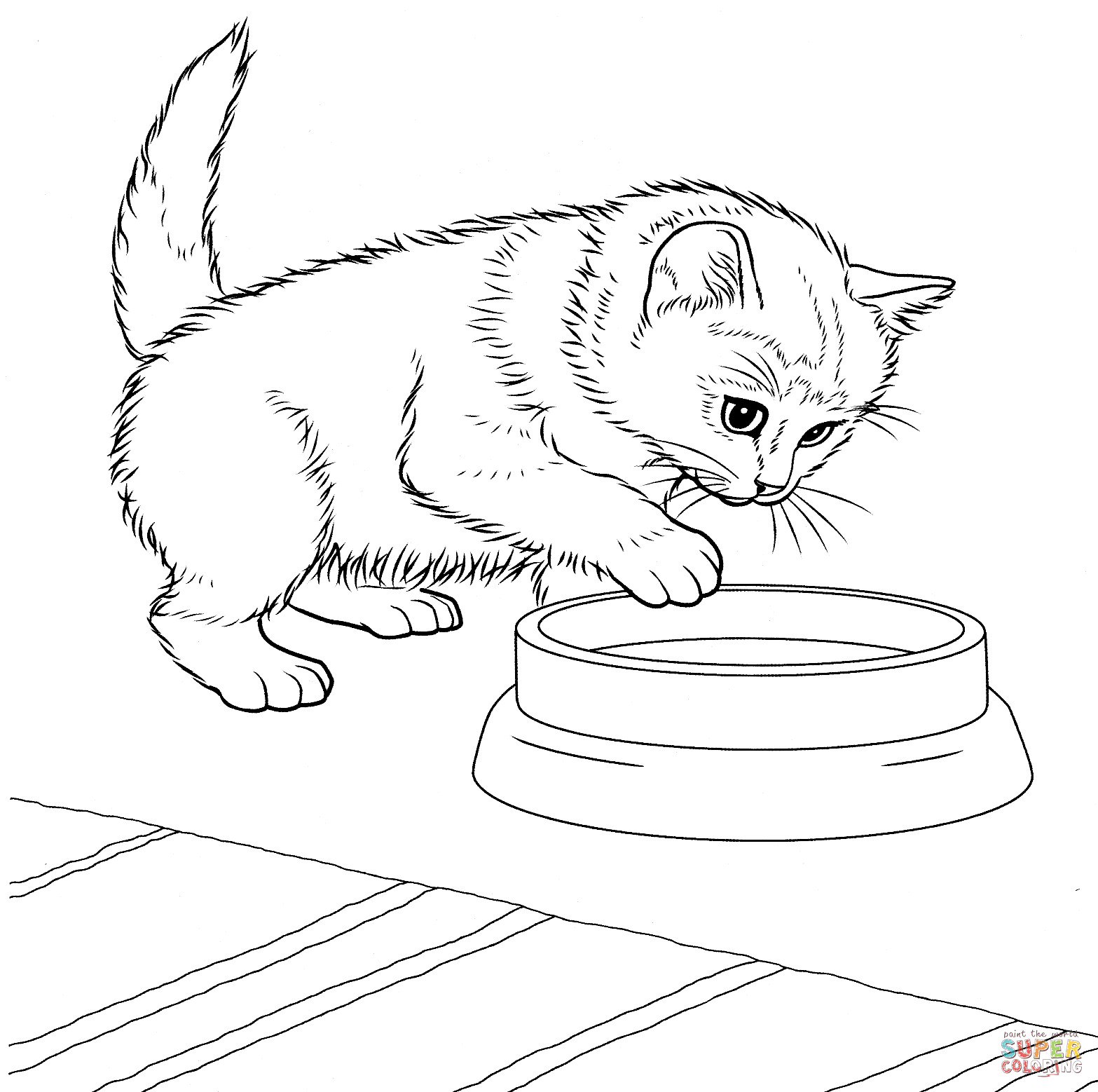 Real Kitten Coloring Sheets For Girls
 Javanese Kitten coloring page