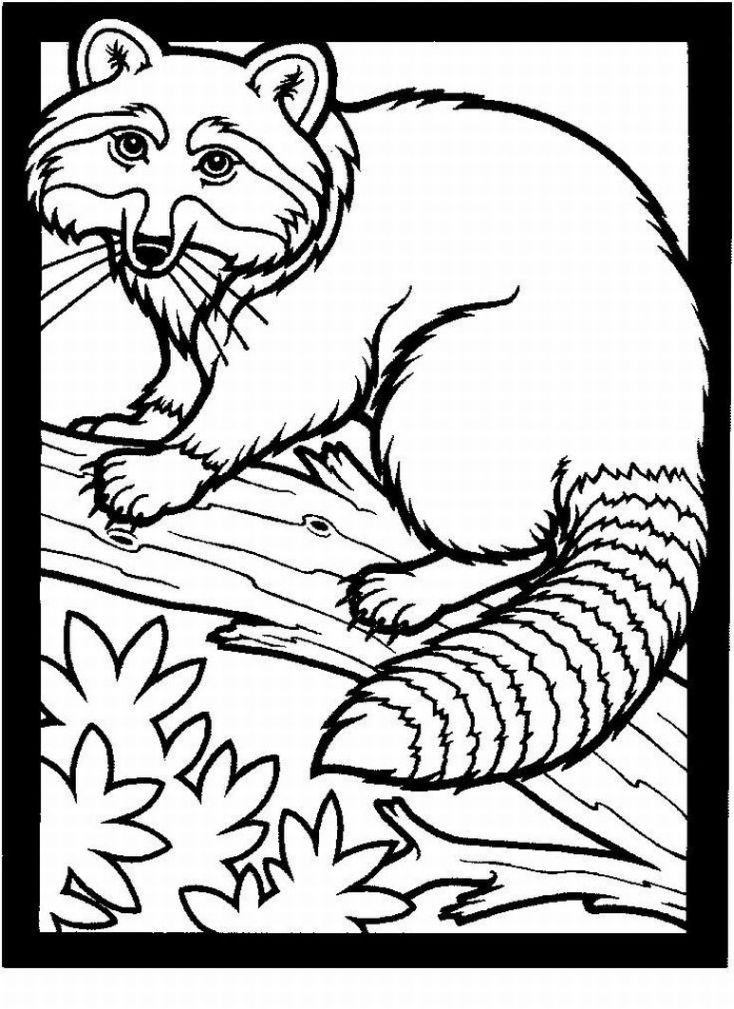 Realistic Animal Coloring Pages
 March 2011 Child Coloring