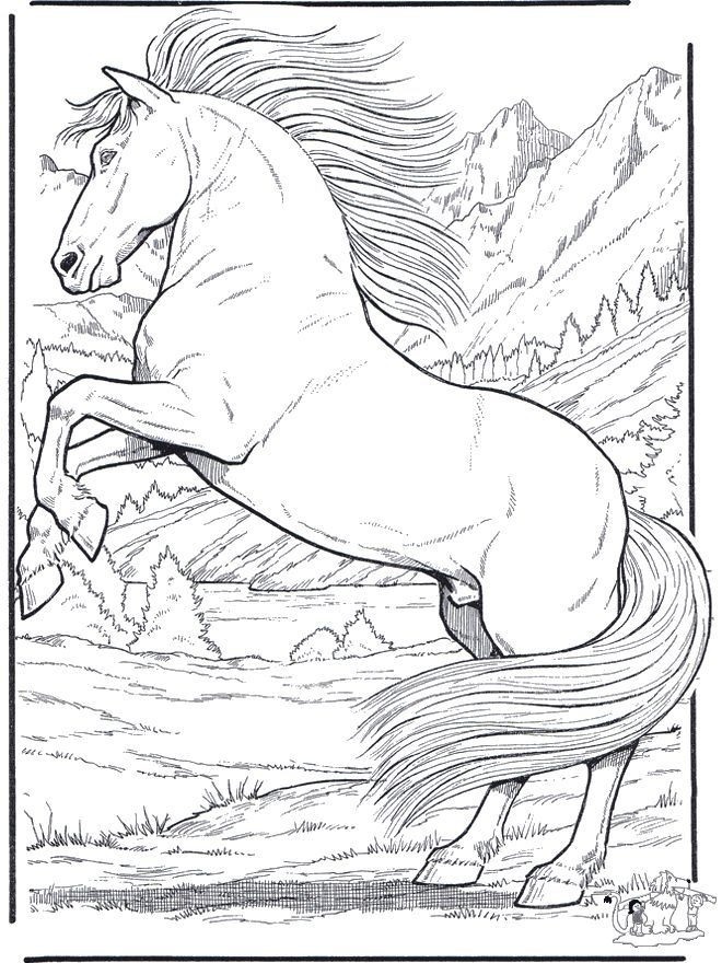 Realistic Animal Coloring Pages
 Free Coloring Pages Animals Realistic