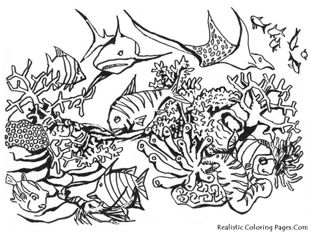 Realistic Coloring Book
 realistic animals coloring pages