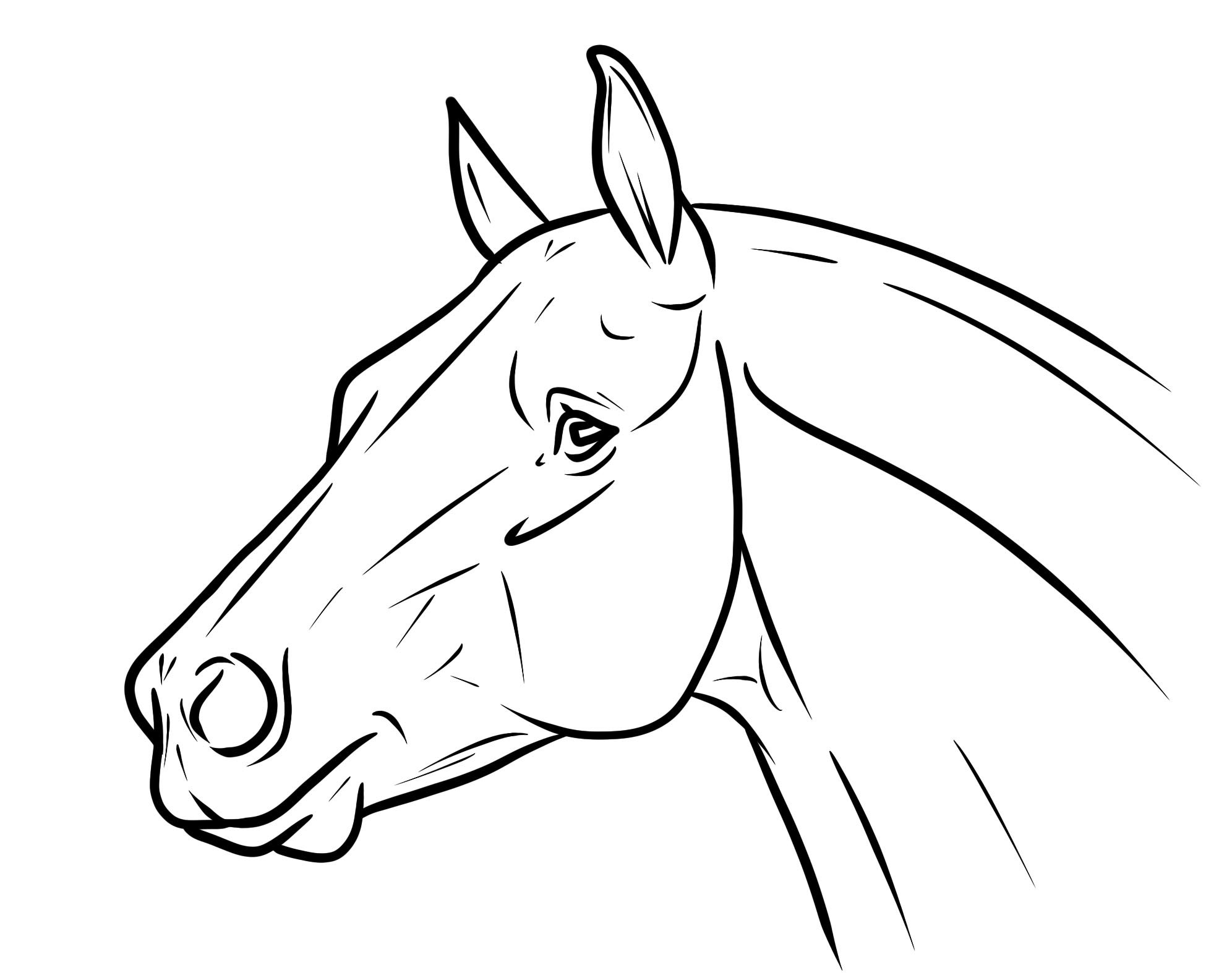 Realistic Horse Head Coloring Pages
 Princess Ariel Human Coloring Pages