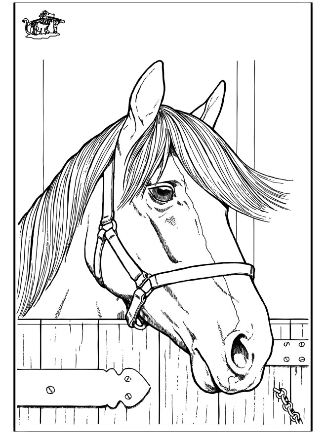 Realistic Horse Head Coloring Pages
 Horse Head Coloring Pages Coloring Home