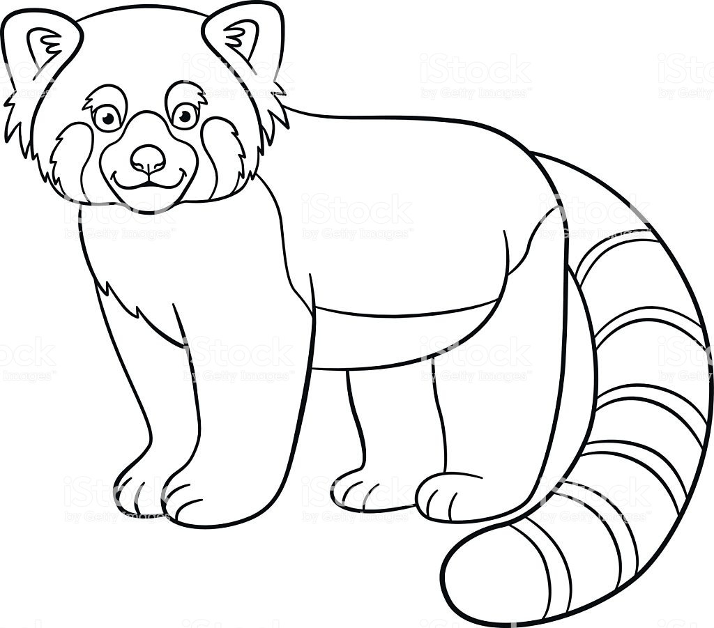 Red Panda Coloring Pages
 Coloring Pages Little Cute Red Panda Smiles Stock Vector