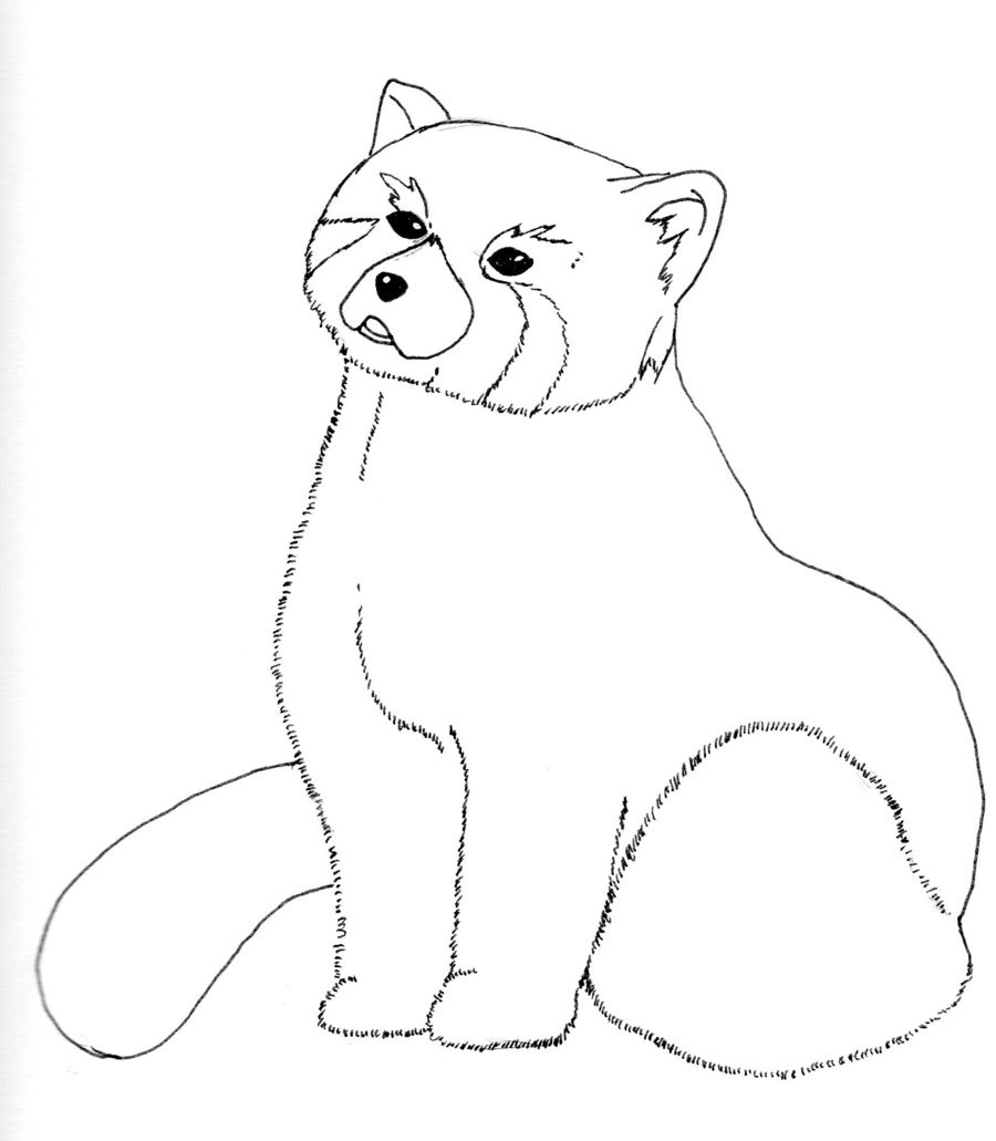 Red Panda Coloring Pages
 Red Panda no color by MadHamsterCostumes on DeviantArt