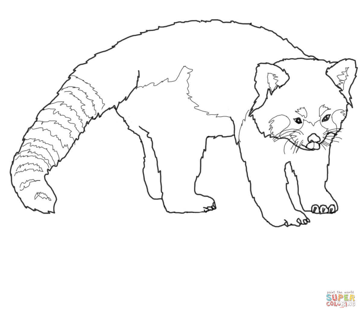 Red Panda Coloring Pages
 Coloriage Adorable panda roux