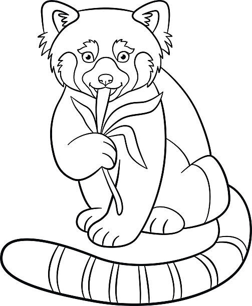 Red Panda Coloring Pages
 Red Panda Clip Art Vector & Illustrations iStock