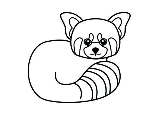 Red Panda Coloring Pages
 red panda coloring page Kids Pinterest