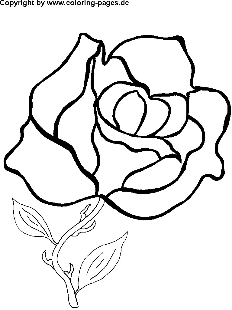 Rose Coloring Pages For Girls
 Rose Flower Coloring Pages