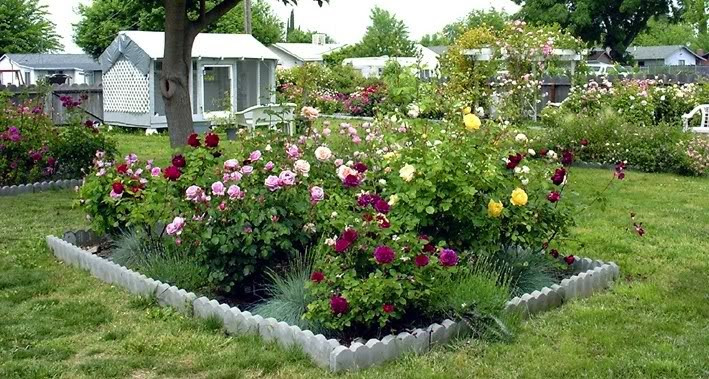 Best ideas about Roses Garden Ideas
. Save or Pin Home ficeDecoration Now.