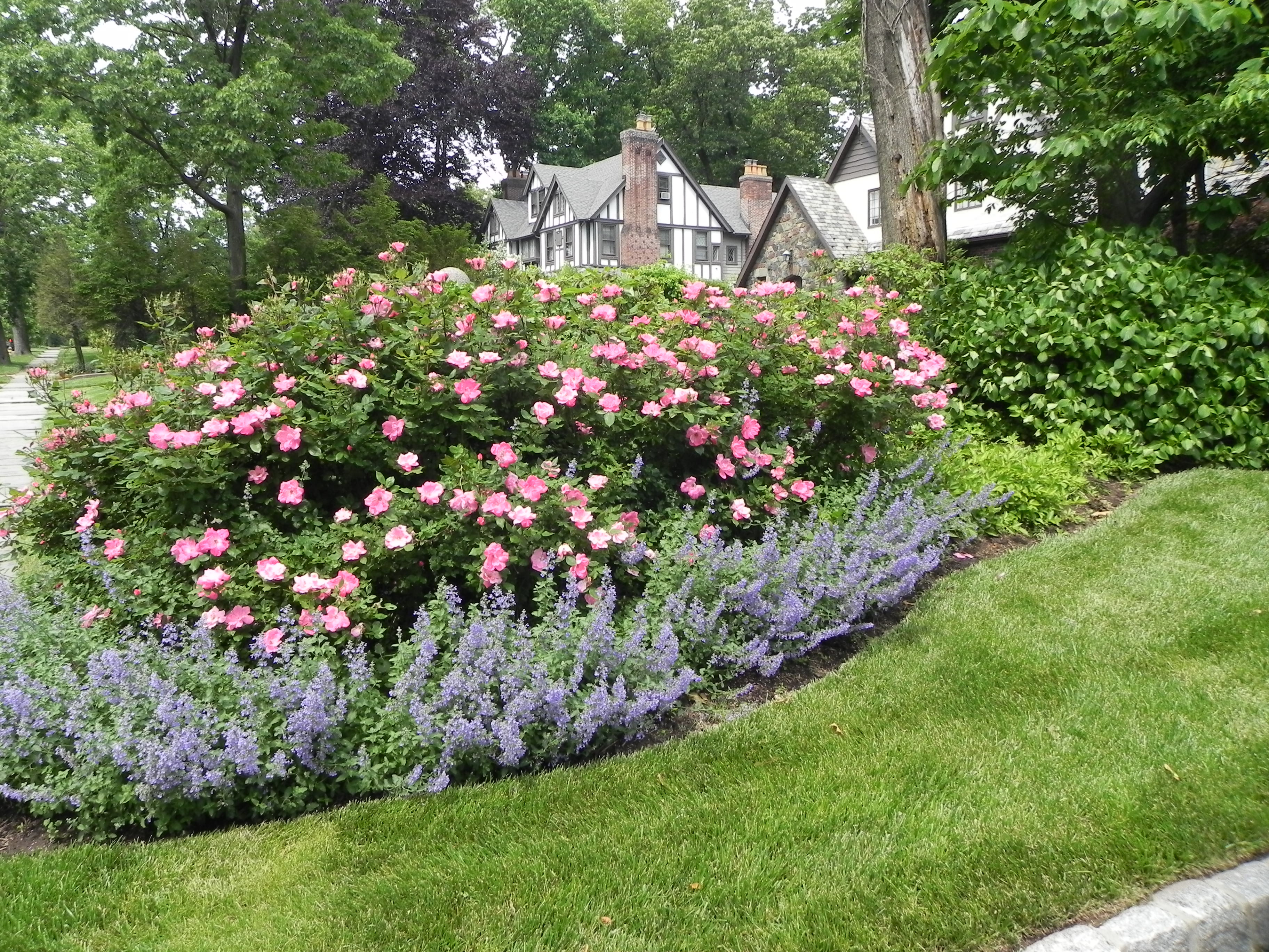 Best ideas about Roses Garden Ideas
. Save or Pin Nice Rose Garden Design Garden Design 10 Now.