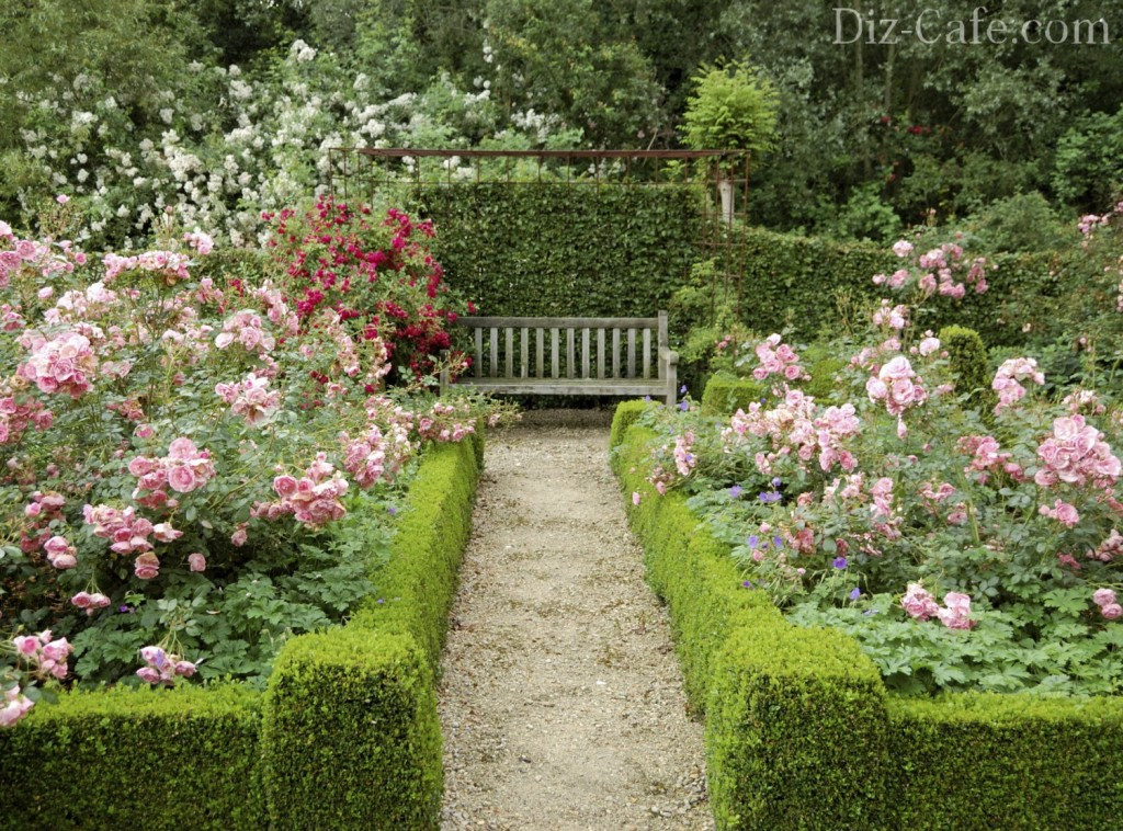 Best ideas about Roses Garden Ideas
. Save or Pin Landscaping design with roses – Wilson Rose Garden Now.