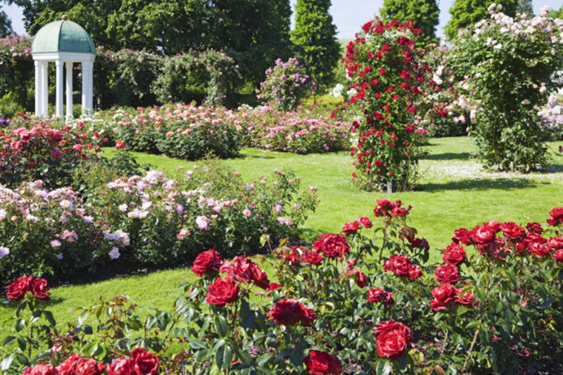 Best ideas about Roses Garden Ideas
. Save or Pin Rose Garden design bookmark 7600 Now.