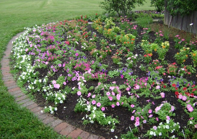 Best ideas about Roses Garden Ideas
. Save or Pin 11 beautiful Rose Garden Designs for small yard Now.