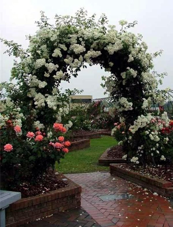 Best ideas about Roses Garden Ideas
. Save or Pin 40 garden design ideas for your imagination Now.