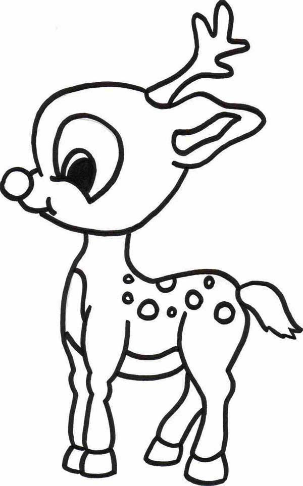 Rudolph The Red Nosed Reindeer Coloring Pages
 Baby Rudolph the Red Nosed Reindeer Coloring Page
