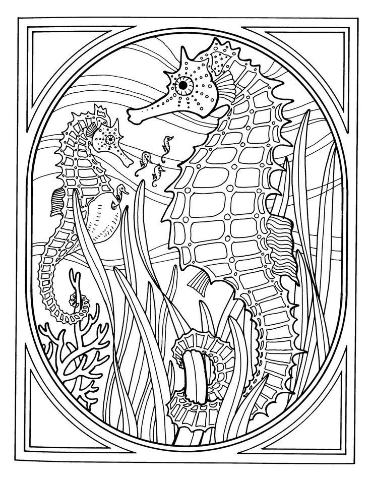 Seahorse Coloring Pages For Adults
 Seahorse Adult Coloring Pages AZ Coloring Pages