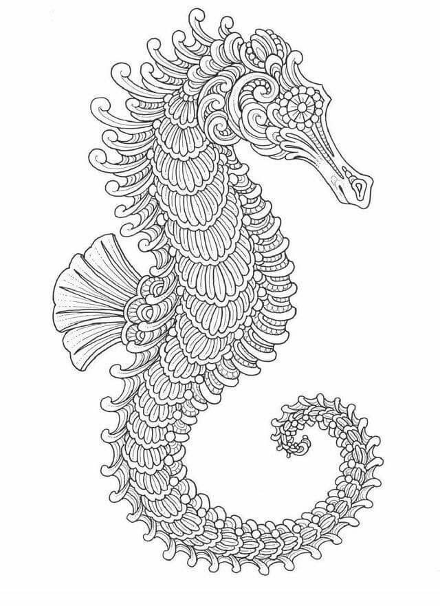 Seahorse Coloring Pages For Adults
 Seahorse design Adult coloring Pinterest
