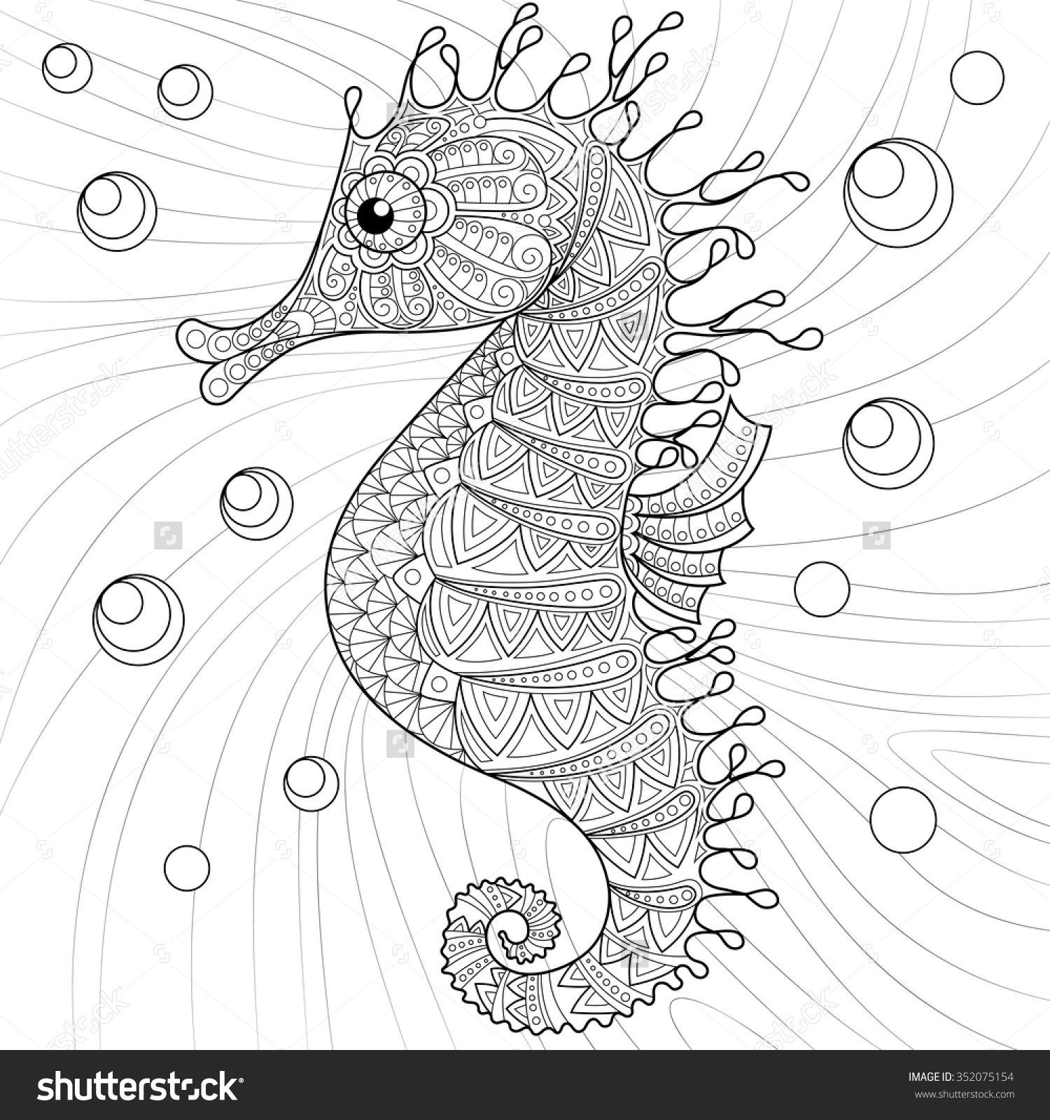 Seahorse Coloring Pages For Adults
 Seahorse Adult Antistress Coloring Page Black And White