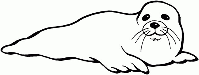 Seals Coloring Pages
 Harp Seal clipart color Pencil and in color harp seal