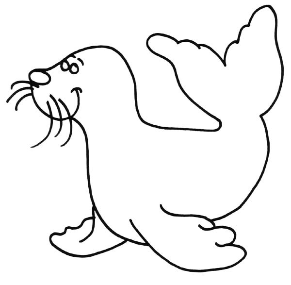 Seals Coloring Pages
 Big Smile Seal Coloring Page