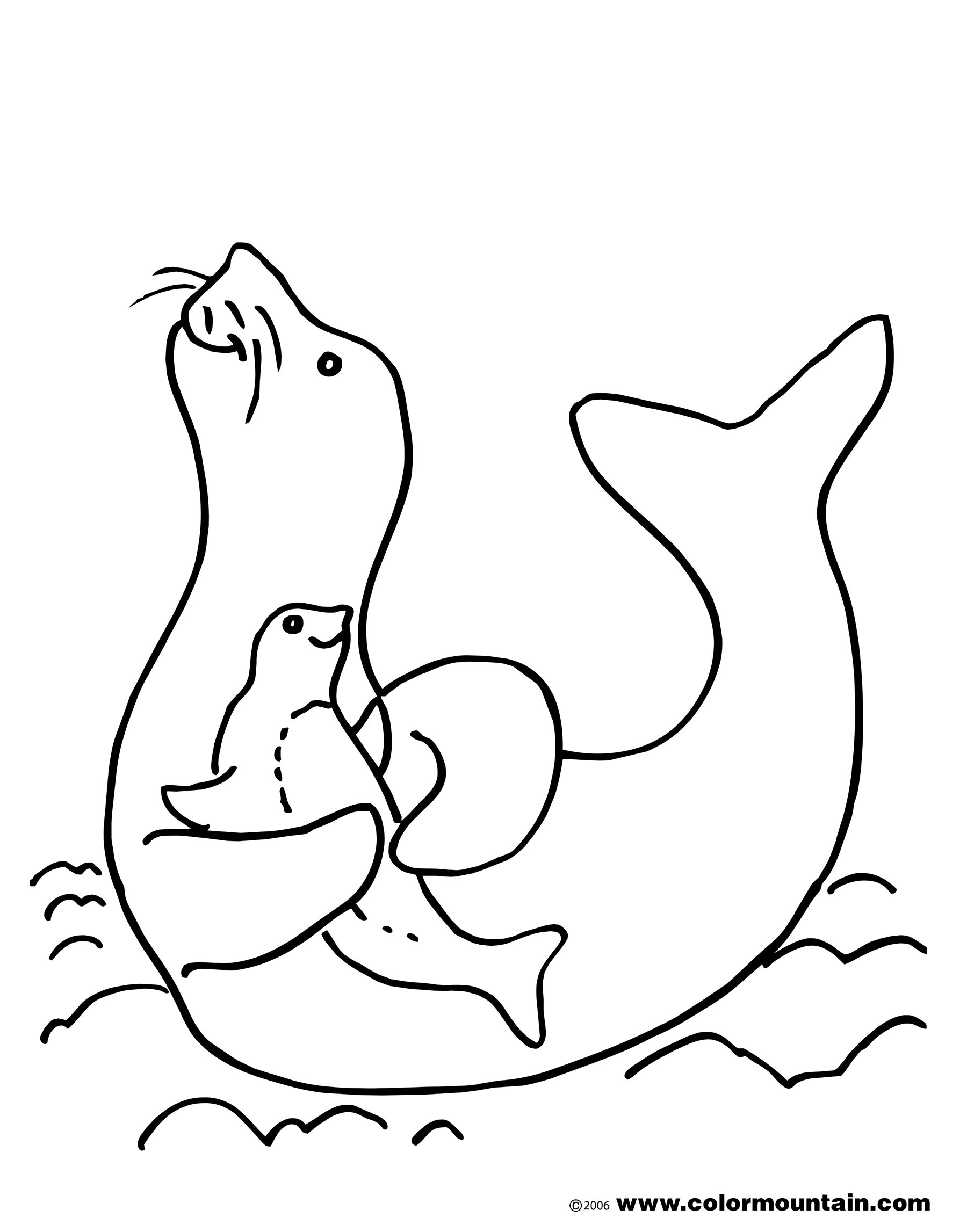 Seals Coloring Pages
 Harbor Seal Coloring Page Best Monk Louring Pages