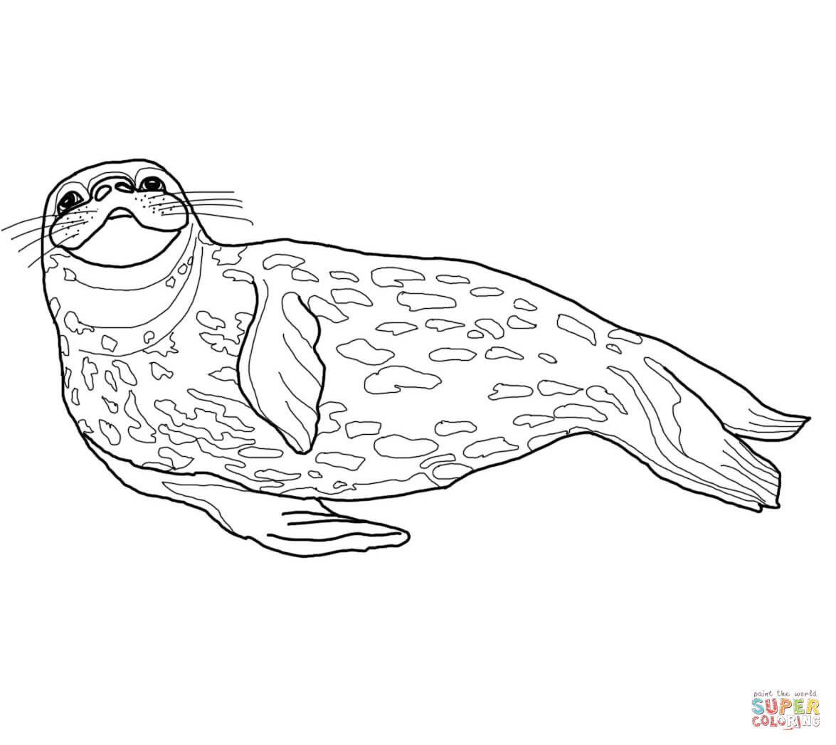 Seals Coloring Pages
 Seal Coloring Pages Printable Weddell Page grig3