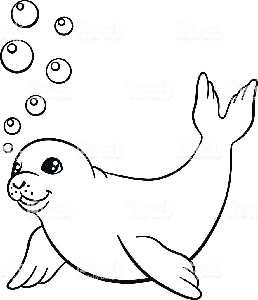 Seals Coloring Pages
 Coloring Pages Baby Seals