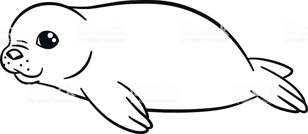 Seals Coloring Pages
 Coloring Pages Baby Seals