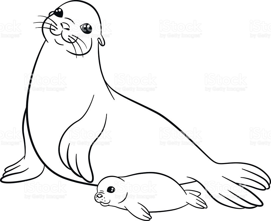 Seals Coloring Pages
 Seal Coloring Pages Printable Page Image Clipart