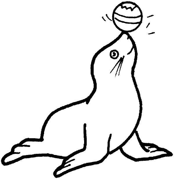 Seals Coloring Pages
 Circus Seal Coloring Page