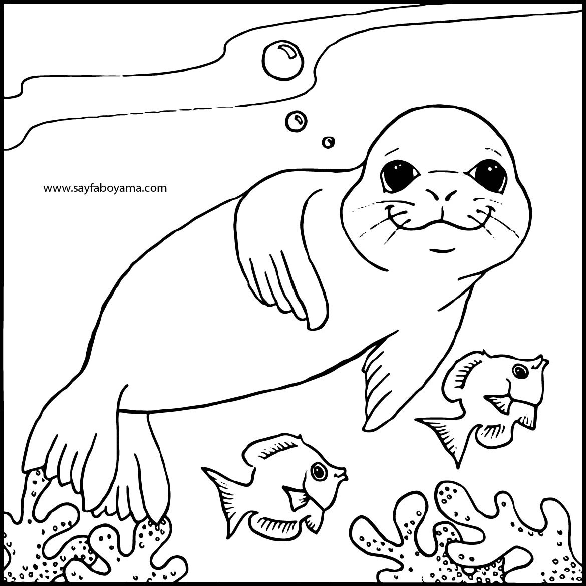 Seals Coloring Pages
 Monk Seal Colouring Pages for Kids Preschool and