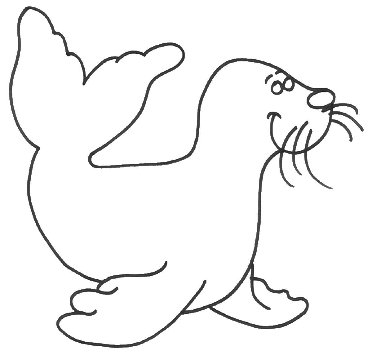 Seals Coloring Pages
 Seal Coloring Pages