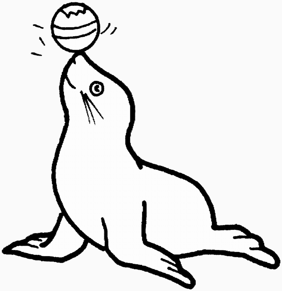 Seals Coloring Pages
 Seal Coloring Pages