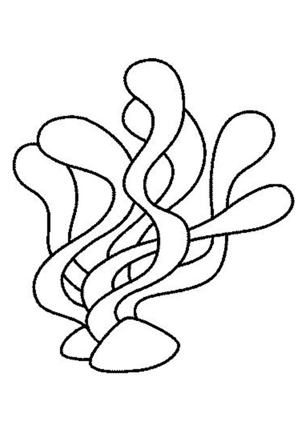 Seaweed Coloring Pages
 Seaweeds coloring pages Hellokids