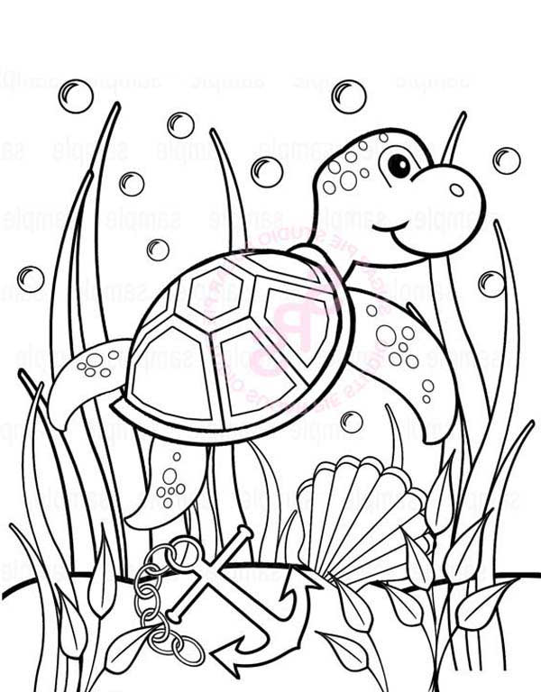 Seaweed Coloring Pages
 Baby Sea Turtle Play Between Seaweed – free coloring sheet