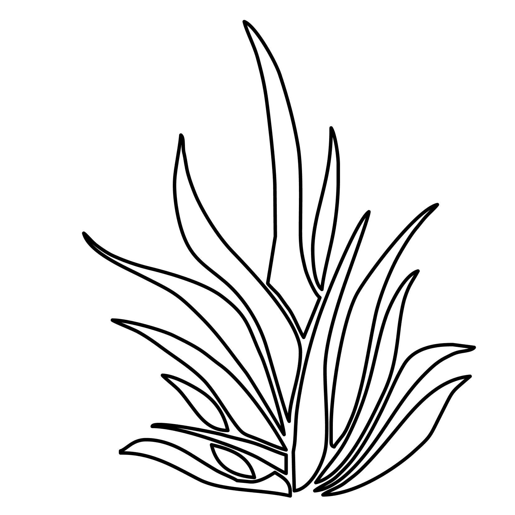 Seaweed Coloring Pages
 Drawn seaweed coloring page Pencil and in color drawn