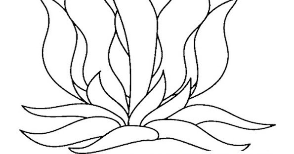 Seaweed Coloring Pages
 Seaweed Coloring Pages