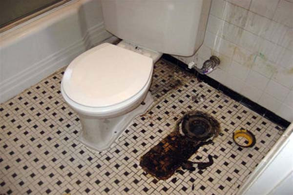 Best ideas about Sewage Smell In Bathroom . Save or Pin Sewage Smell In Bathroom Now.