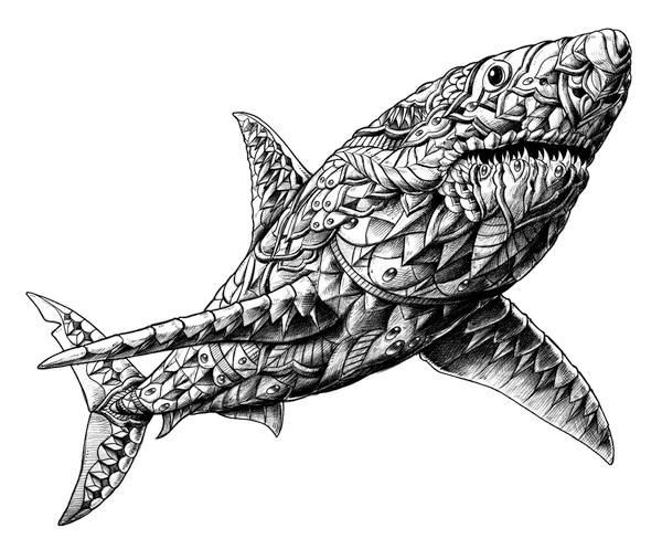 Best ideas about Shark Coloring Pages For Adults
. Save or Pin Shark BioWorkZ Now.