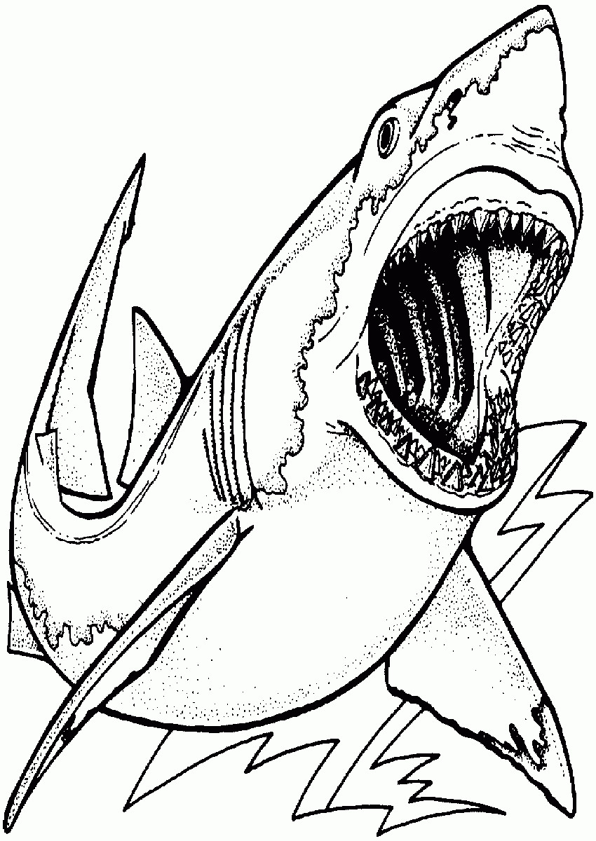 Best ideas about Shark Coloring Pages For Adults
. Save or Pin Shark Free Colouring Pages Now.