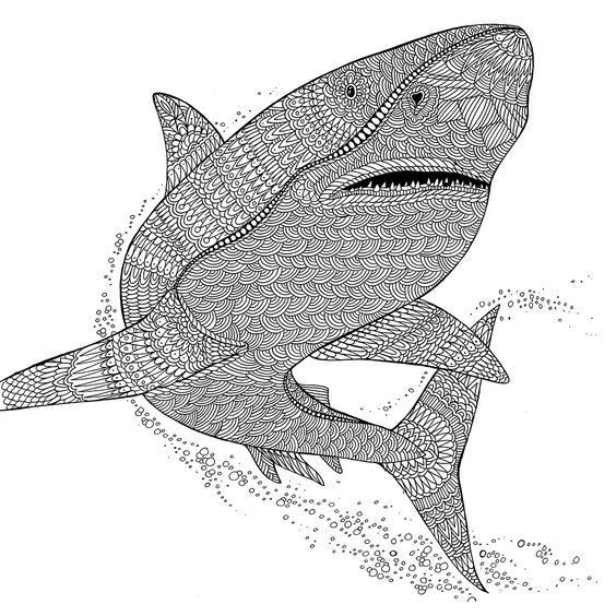 Best ideas about Shark Coloring Pages For Adults
. Save or Pin 298 best coloring dolphin whale shark images on Now.