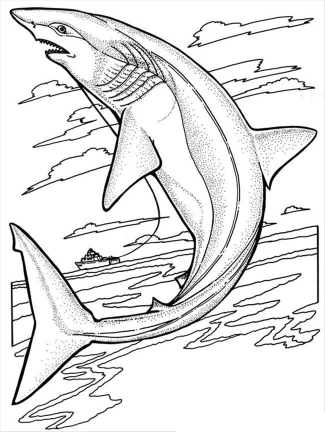 Shark Coloring Sheets For Kids
 Free Printable Shark Coloring Pages For Kids