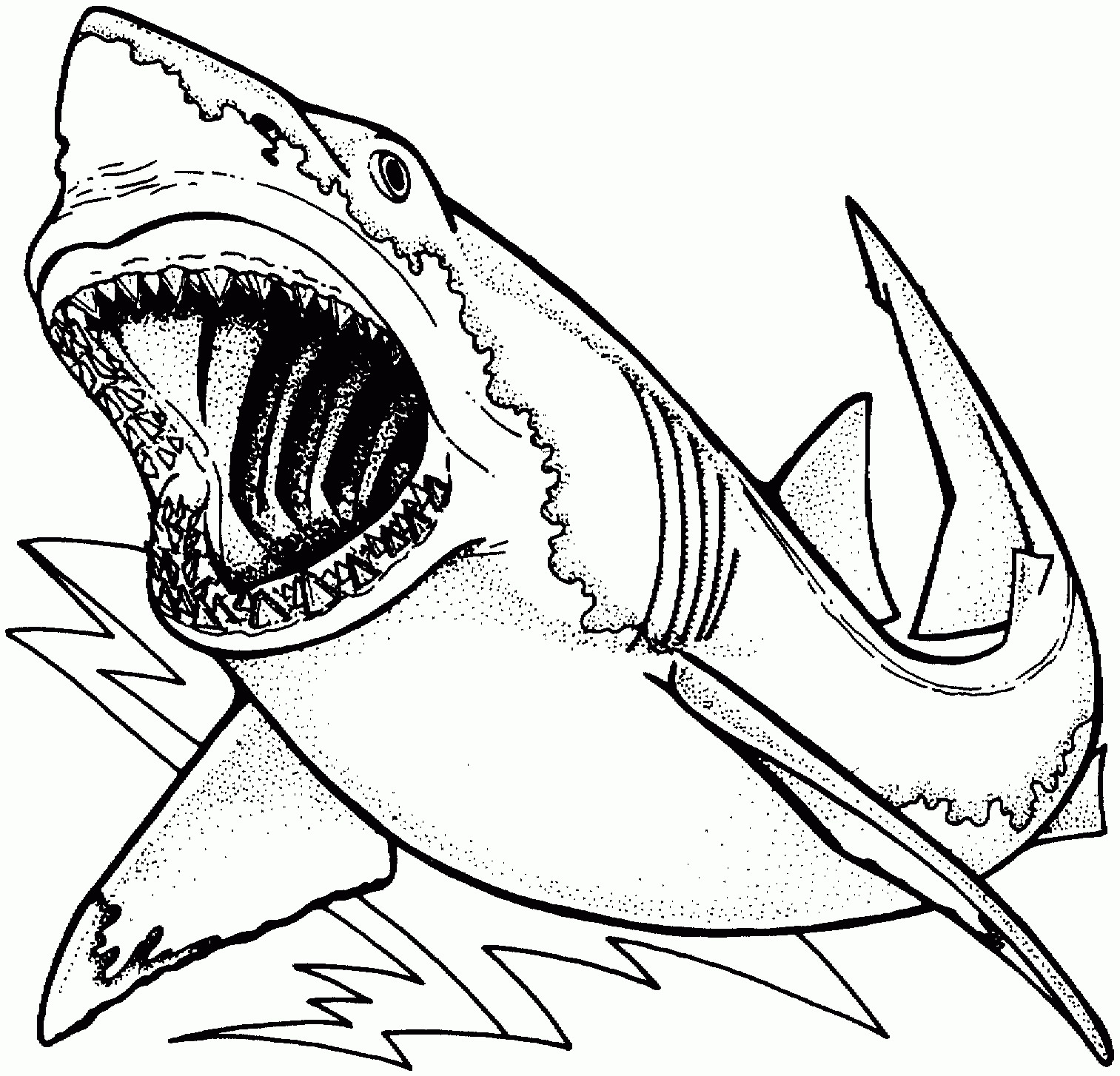 Shark Coloring Sheets For Kids
 Hammerhead Shark Coloring Pages Free Free Coloring Books