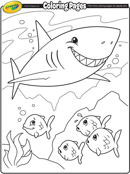 Shark Coloring Sheets For Kids
 Shark Coloring Page