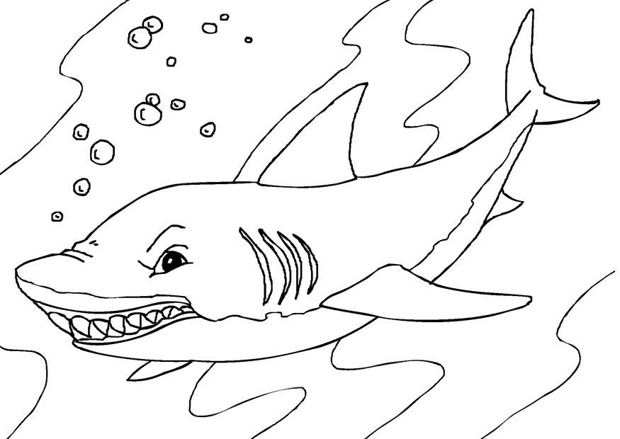 Shark Coloring Sheets For Kids
 Free Printable Shark Coloring Pages For Kids